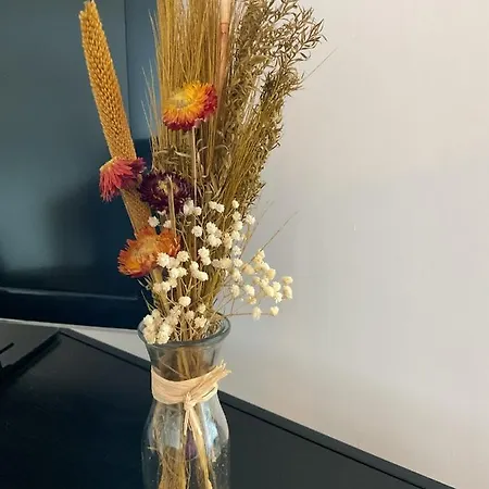 The Escape Merlemont